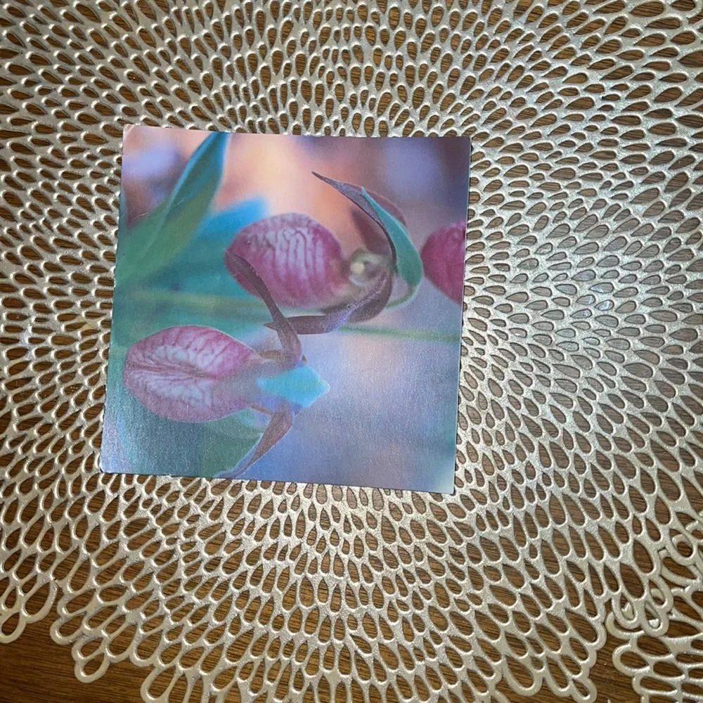 Collectible Antique Vintage. 2005 Orchids Postcard.